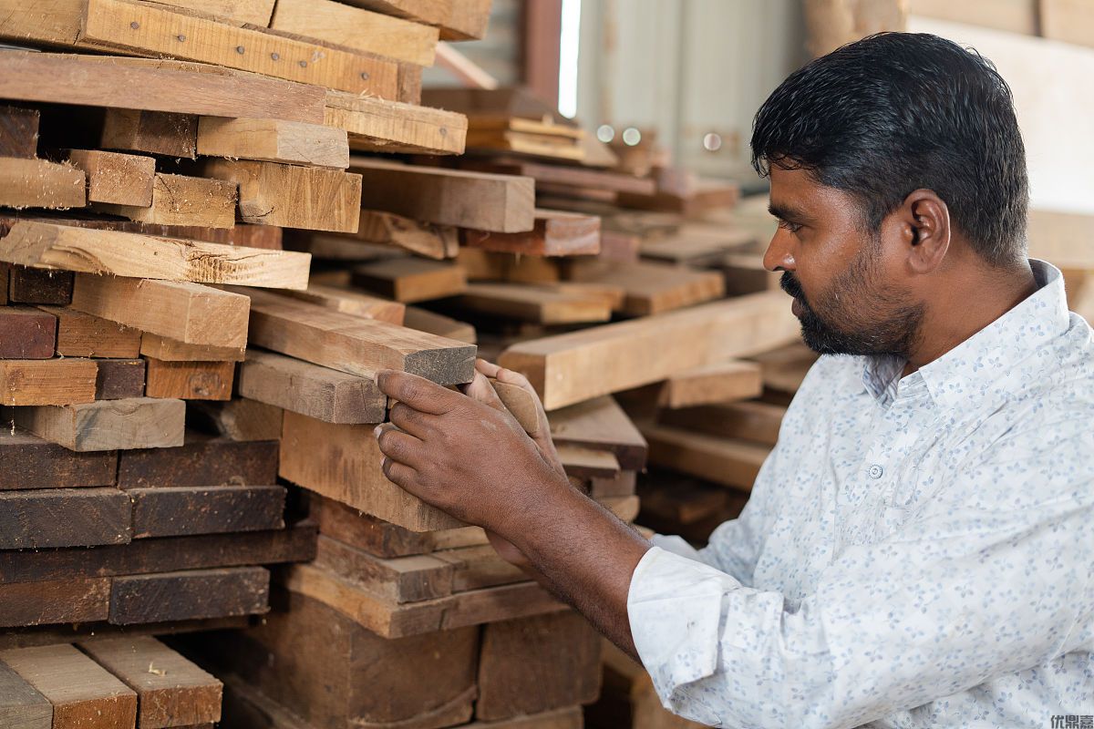 木材進(jìn)口代理報(bào)關(guān):你必須知道的流程秘籍